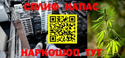 спиды Моздок