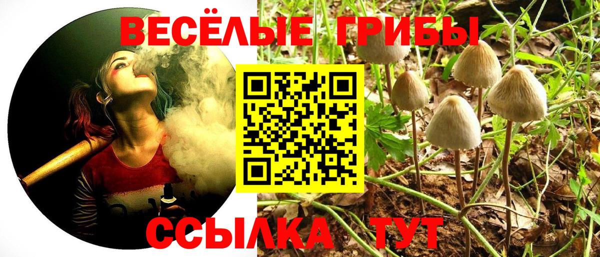 Богданович  наркота  Вход с VPN  Галлюциногенные грибы ЛСД 