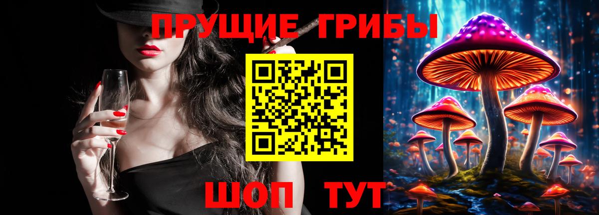 Псилоцибиновые грибы прущие грибы Богданович